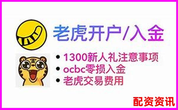 老虎證券杠桿交易操作指南與風(fēng)險(xiǎn)控制要點(diǎn)-網(wǎng)上配資炒股平臺(tái)可靠嗎安全嗎