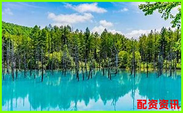 國內(nèi)配資APP排行榜Top10盤點，實測評分出爐